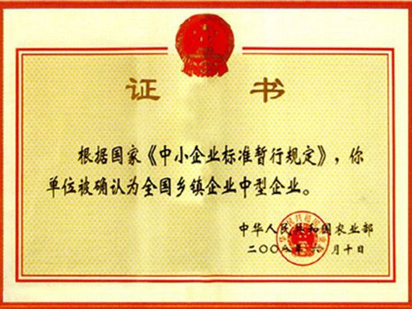 鄉(xiāng)鎮(zhèn)企業(yè)中型企業(yè)認(rèn)證證書